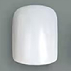Snow lotus white