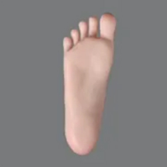 Stand-Up