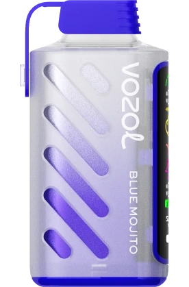 VOZOL GEAR POWER