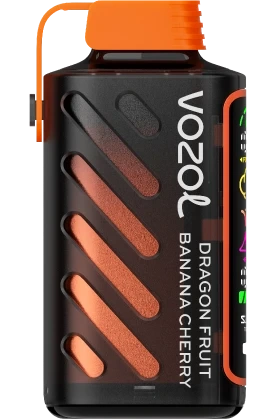 VOZOL GEAR POWER
