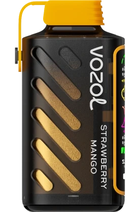VOZOL GEAR POWER