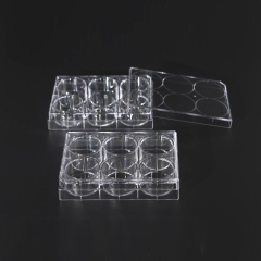 Cell Culture Plate