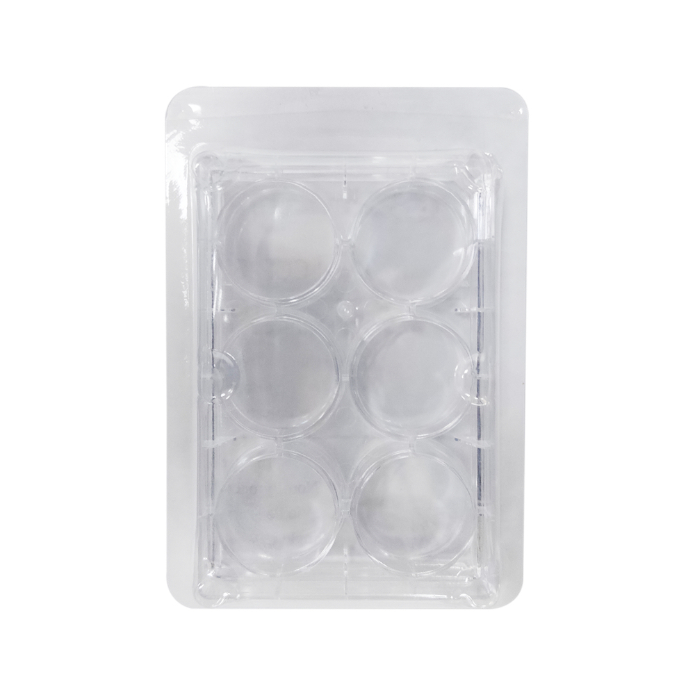 Cell Culture Plate