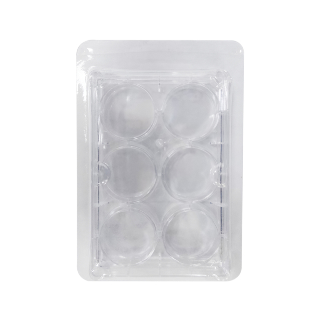 Cell Culture Plate