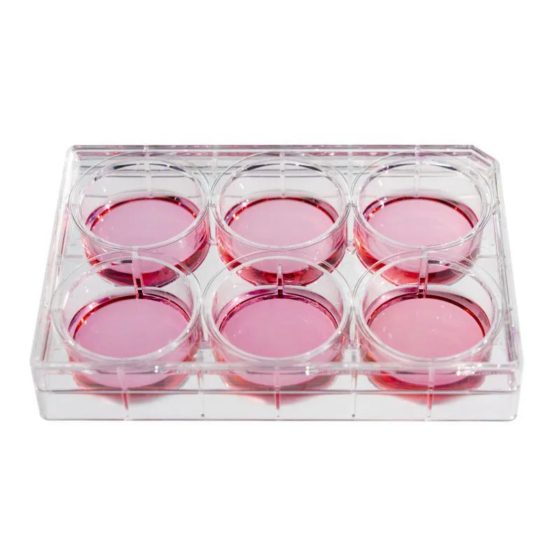 Cell Culture Plate