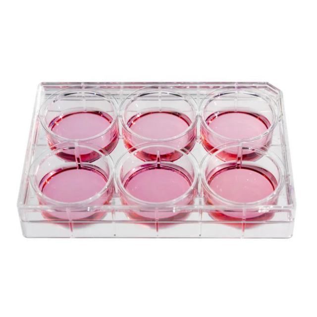 Cell Culture Plate