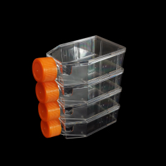 Cell Culture Bottle