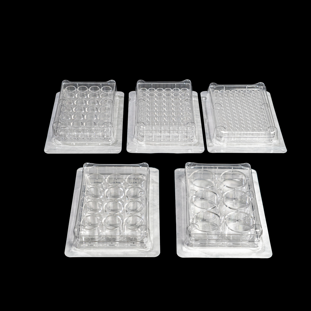 Cell Culture Plate
