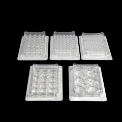 Cell Culture Plate