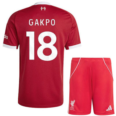 2025-2026 Liverpool adult Set The best quality