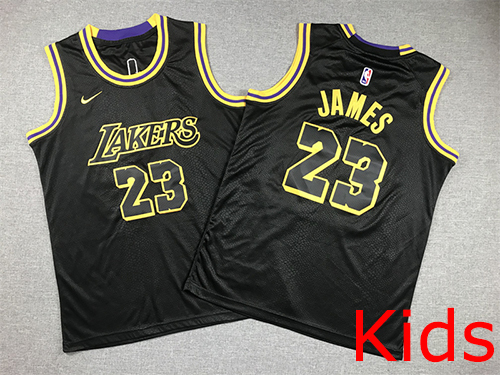 Los Angeles Lakers Kids NBA Embroidery basketball