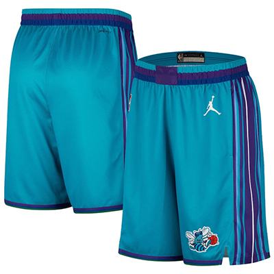 2024 Charlotte Hornets NBA basketball adult Hot press blue