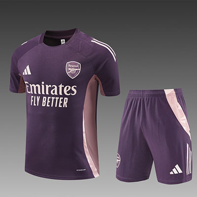2024-2025 Arsenal adult Training clothes short sleeves shorts