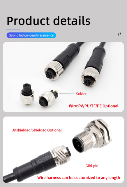 M12 C-coded Connectors | Plugs, Sockets, Overmolded, Assemblies