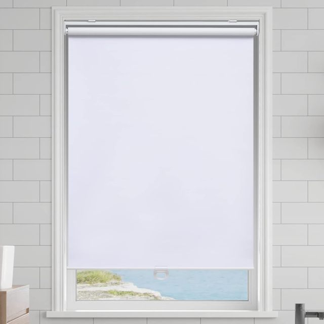 Cordless Roller Shades Blackout Blinds for Windows Room Darkening Rolled Up Shades with Spring System, UV Protection Window Shades Door Blinds for Home and Office