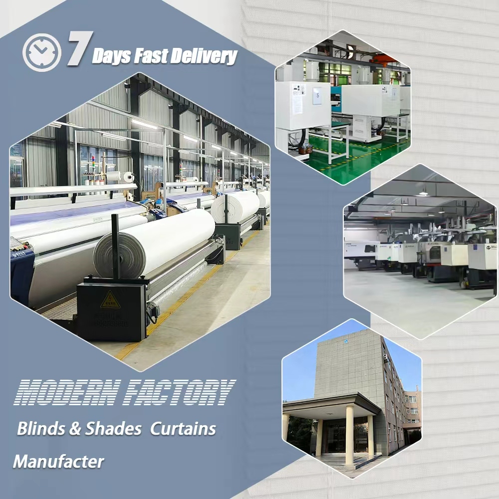Cord zebra blinds Daylight roller shades factory supplier