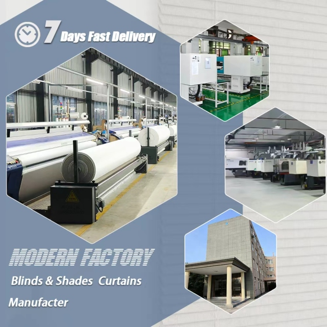 Cord zebra blinds Daylight roller shades factory supplier