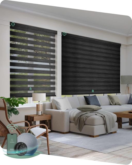 Motorized Zebra Blinds Works with Alexa, Motorized Blinds with Remote Custom Size, Privacy Electric Zebra Shades for Windows