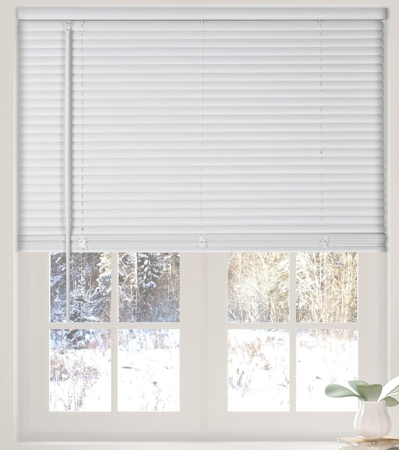 Cordless 1" Vinyl Mini Blinds for Indoor Windows - Light Filtering Horizontal Window Blinds & Shades,