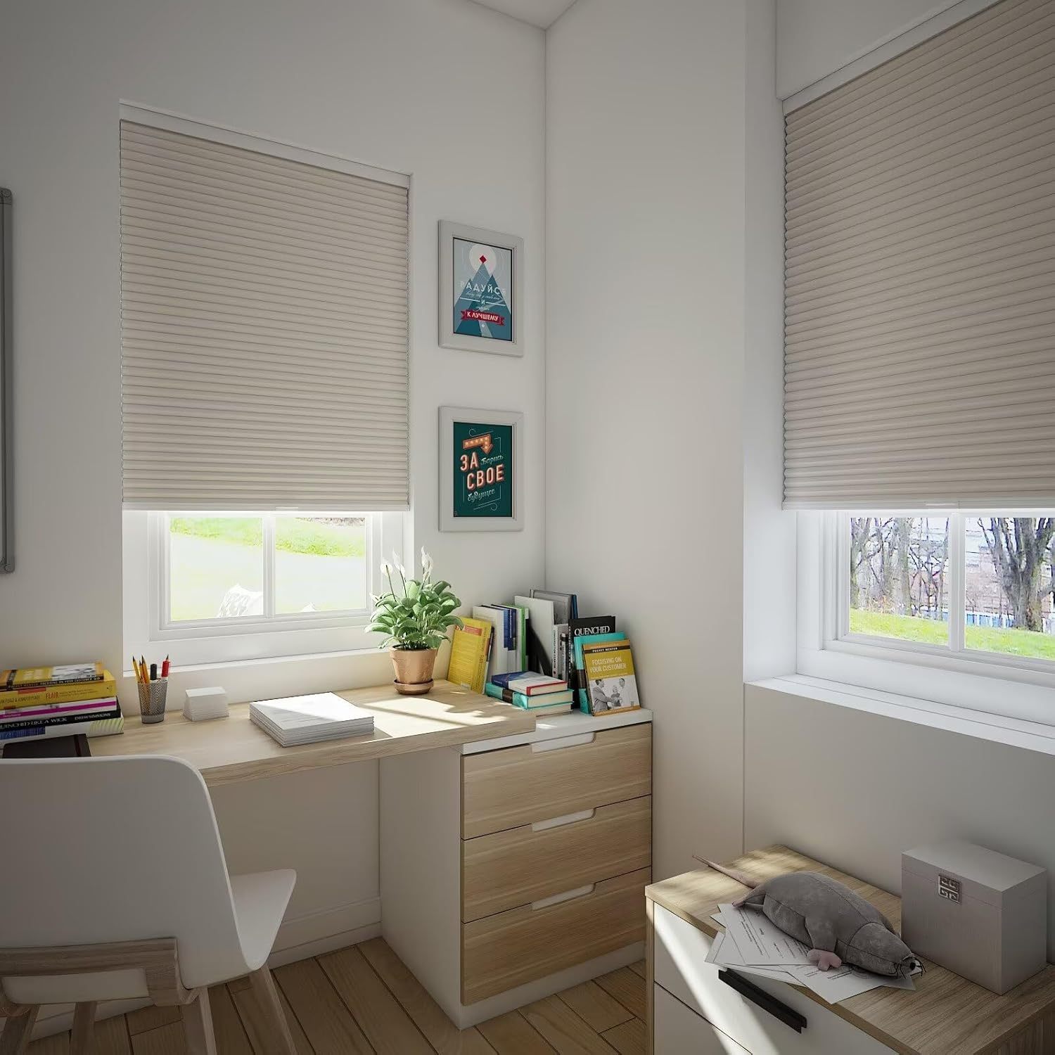 Blckout Cordless honeycomb blinds