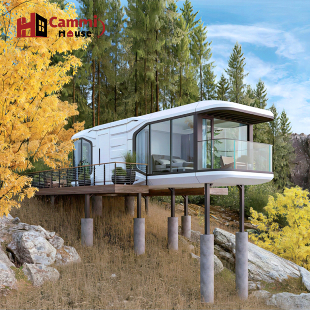 Cammi House Ready-to-Ship Prefab Tiny Home: Luxury Elevated Container Home for Glamping & Backyard