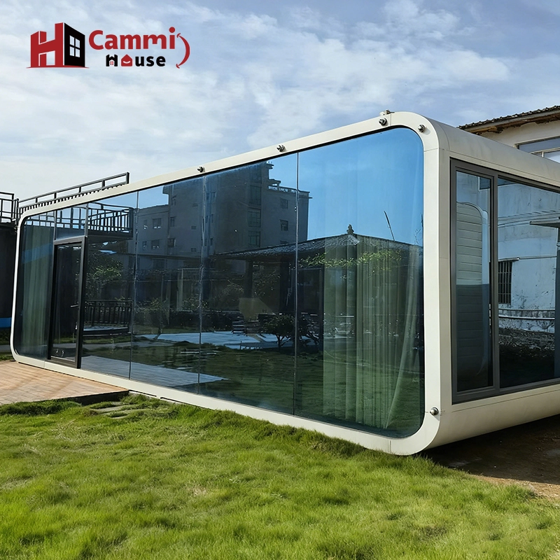 Cammi House V3 exterior with full-length reflective glass curtain wall