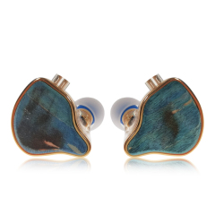 IEM EH-210 Hybrid Dual-Driver In-Ear Monitors | 10mm Graphene Dynamic + Balanced Armature Earphones with Detachable 2Pin Cable