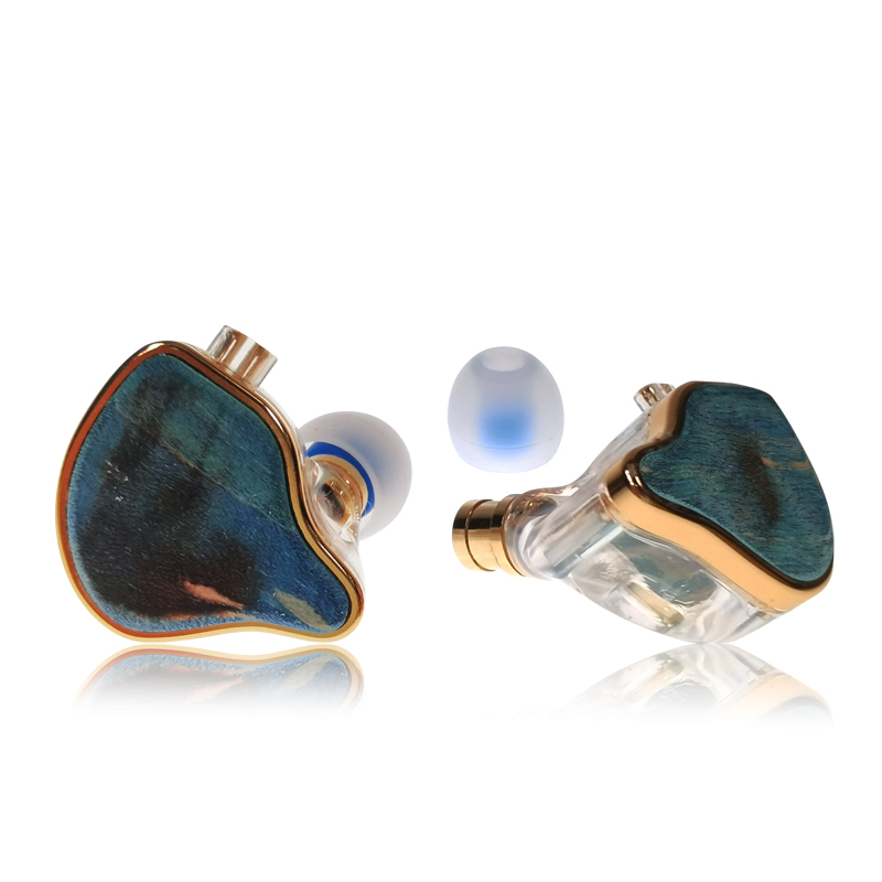 IEM EH-210 Hybrid Dual-Driver In-Ear Monitors | 10mm Graphene Dynamic + Balanced Armature Earphones with Detachable 2Pin Cable
