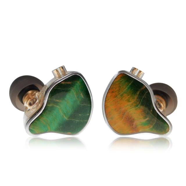 IEM EH-210 Hybrid Dual-Driver In-Ear Monitors | 10mm Graphene Dynamic + Balanced Armature Earphones with Detachable 2Pin Cable