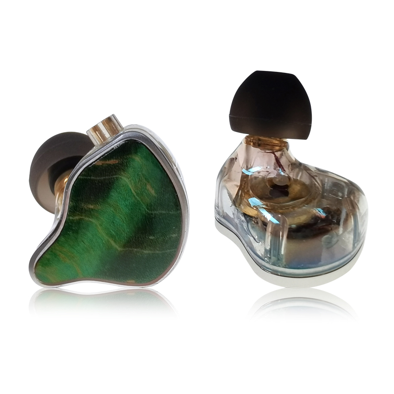 IEM EH-210 Hybrid Dual-Driver In-Ear Monitors | 10mm Graphene Dynamic + Balanced Armature Earphones with Detachable 2Pin Cable