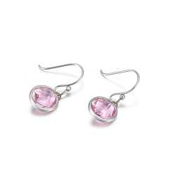 Stainless Steel Birthstone Dangle Earrings for Women Girls, Round Cubic Zirconia Hypoallergenic Drop Hook Earrings, Multi-Color Christmas/Birthday Jewelry Gift