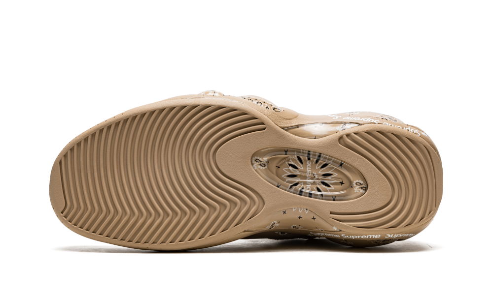 Air Zoom Flight 95 "Supreme - Hemp" DJ8604 200