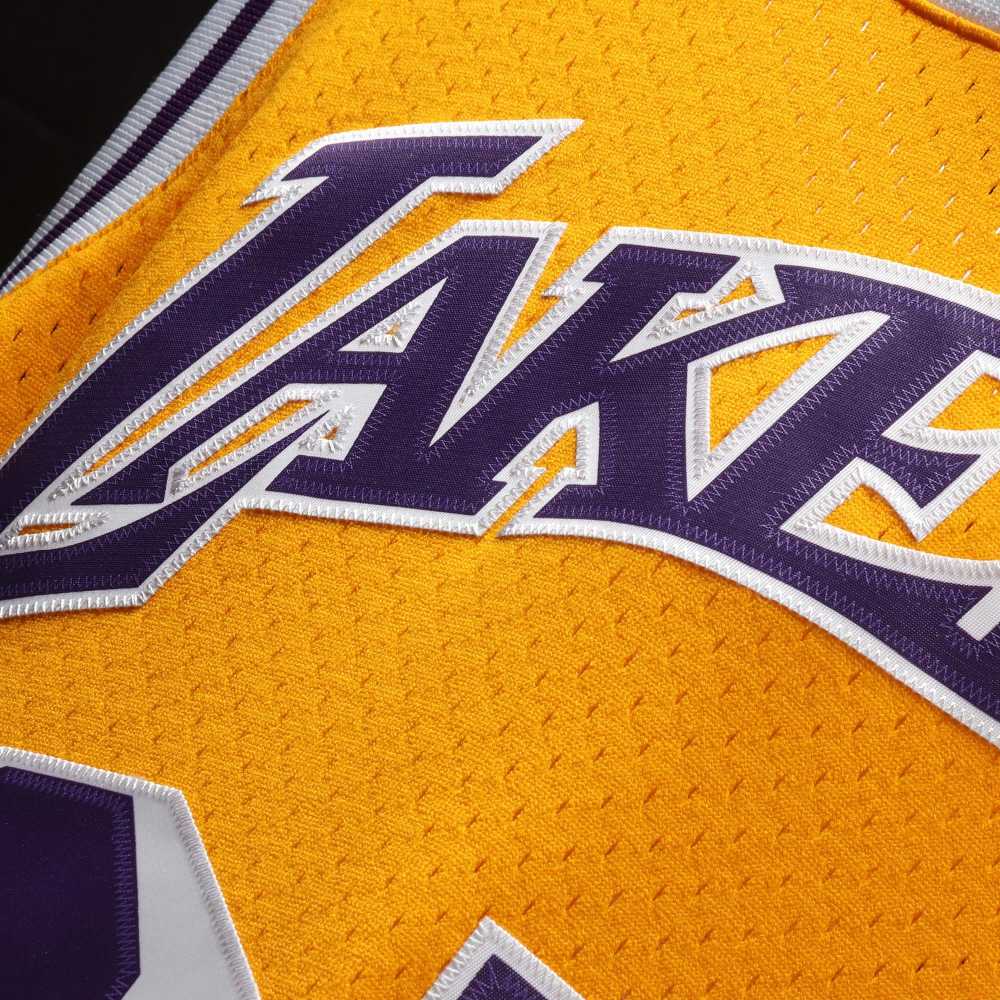 Men's Los Angeles Lakers Magic Johnson Mitchell & Ness Purple 1984/85 Hardwood Classics Swingman Jersey