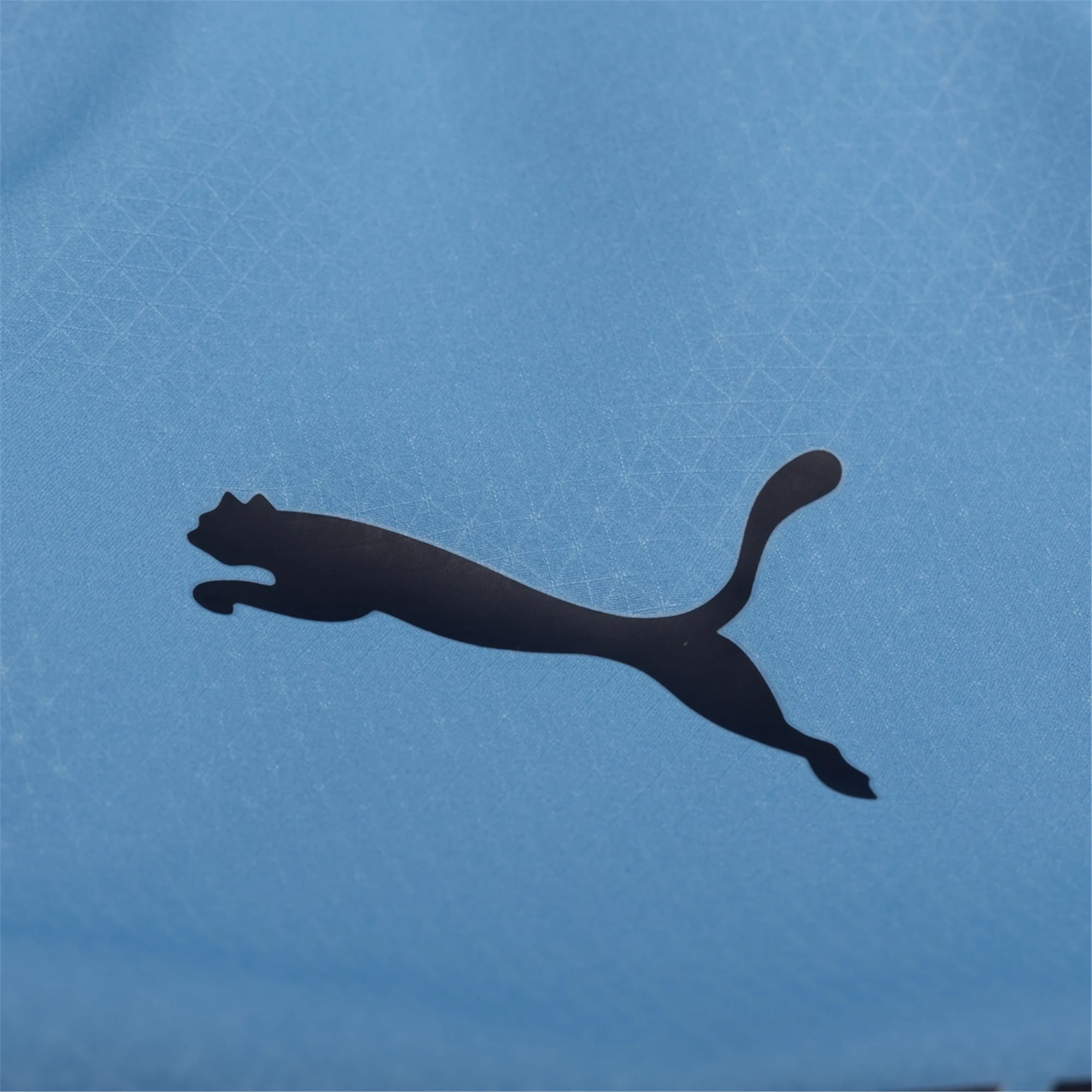 Puma Manchester City Authentic Home Jersey 25/26 (Team Light Blue/White)