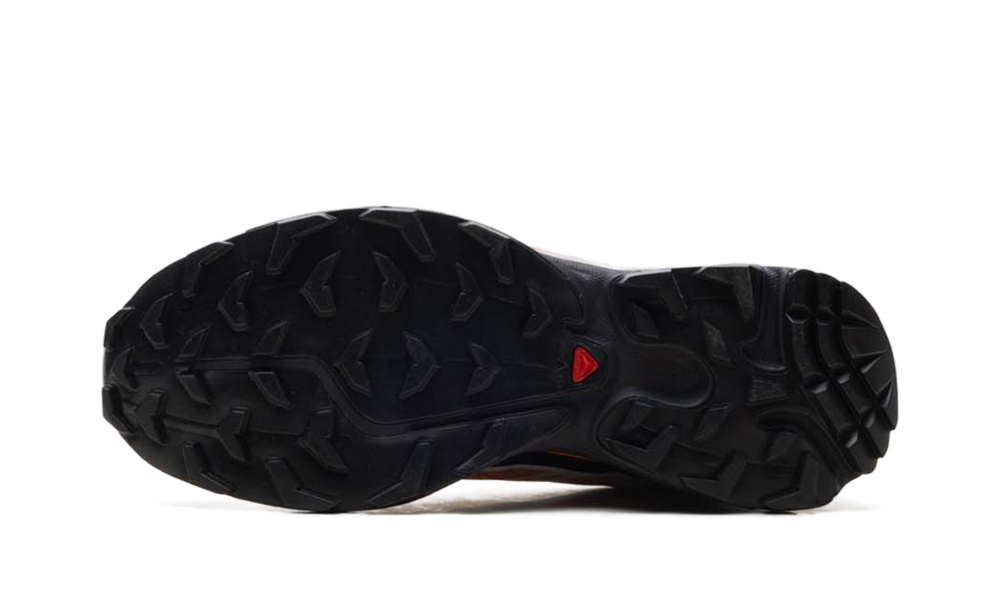 XT-6 "Salomon x Andrew" SL49257500