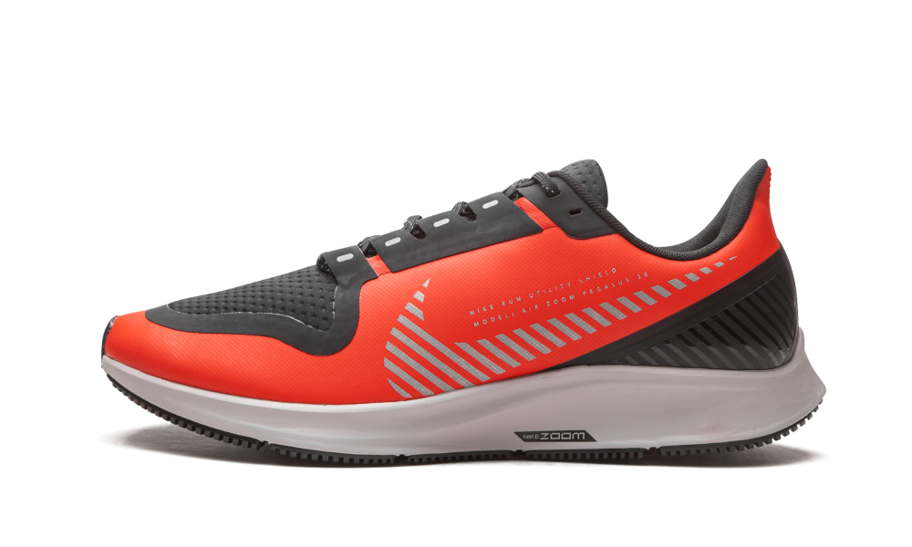 Air Zoom Pegasus 36 Shield "Red" AQ8005 600
