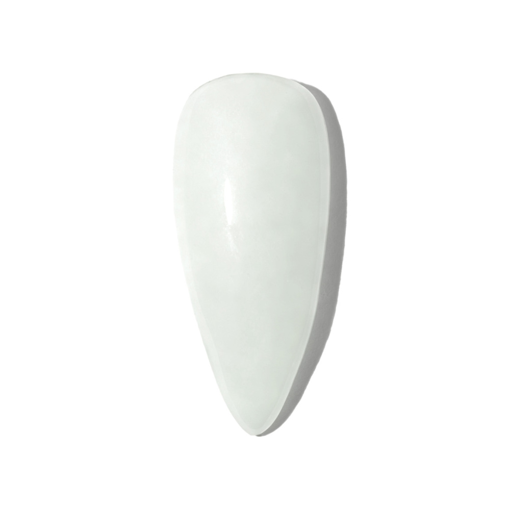 Leite de coco (Coconut milk)