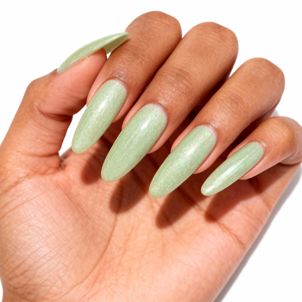 Névoa na Floresta de Bambu (Mist in the Bamboo Forest)