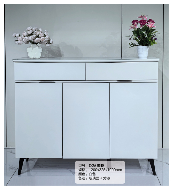 Simple Shoe Cabinet Mordern Entryway Storage Shoe Rack D2
