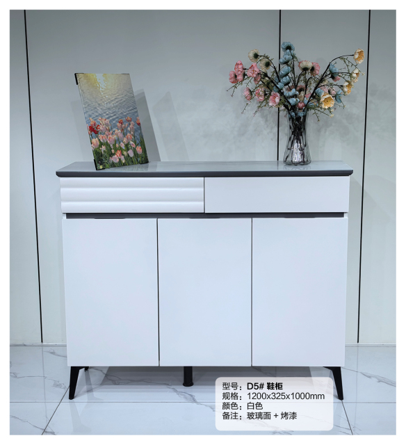 Simple Shoe Cabinet Mordern Entryway Storage Shoe Rack D5