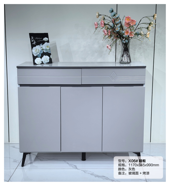 Simple Shoe Cabinet Mordern Entryway Storage Shoe Rack X06