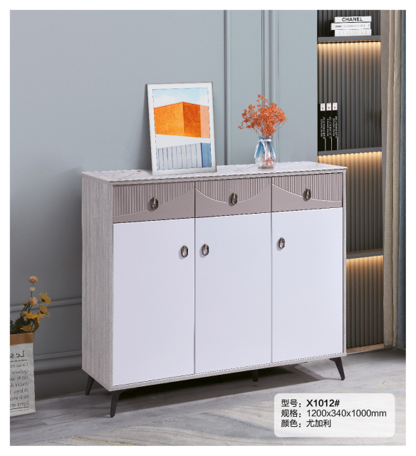 Simple Shoe Cabinet Mordern Entryway Storage Shoe Rack X1012