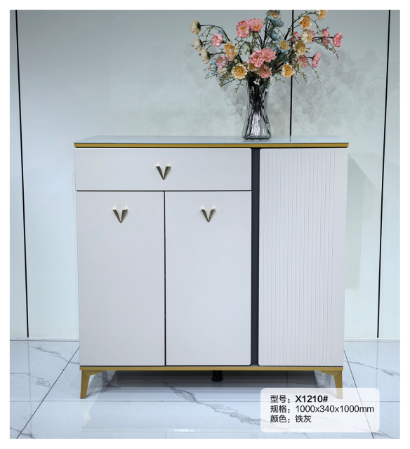 Simple Shoe Cabinet Mordern Entryway Storage Shoe Rack X1210
