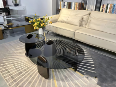 Nordic Style Modern Tempered Glass Shark Coffee Table Set