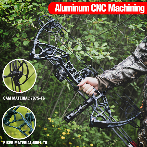 Hunting Bow -Acuity