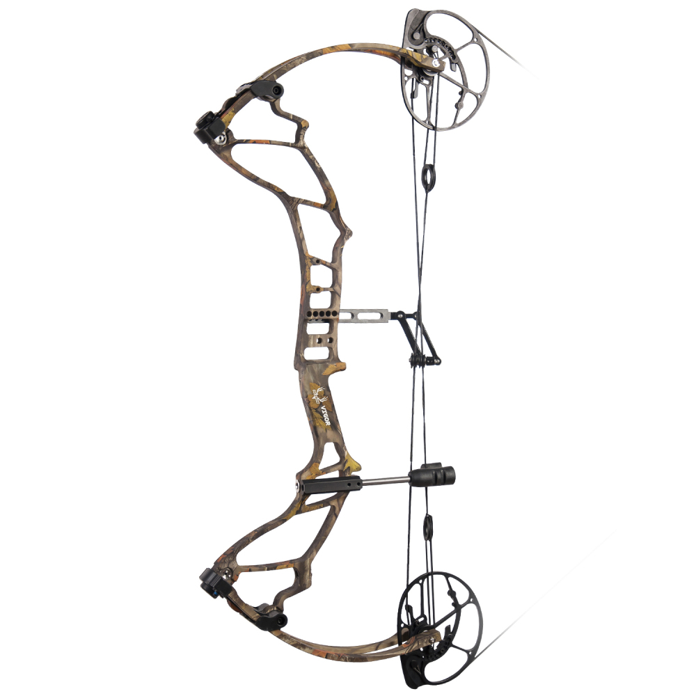 DAIBOW VIGOR