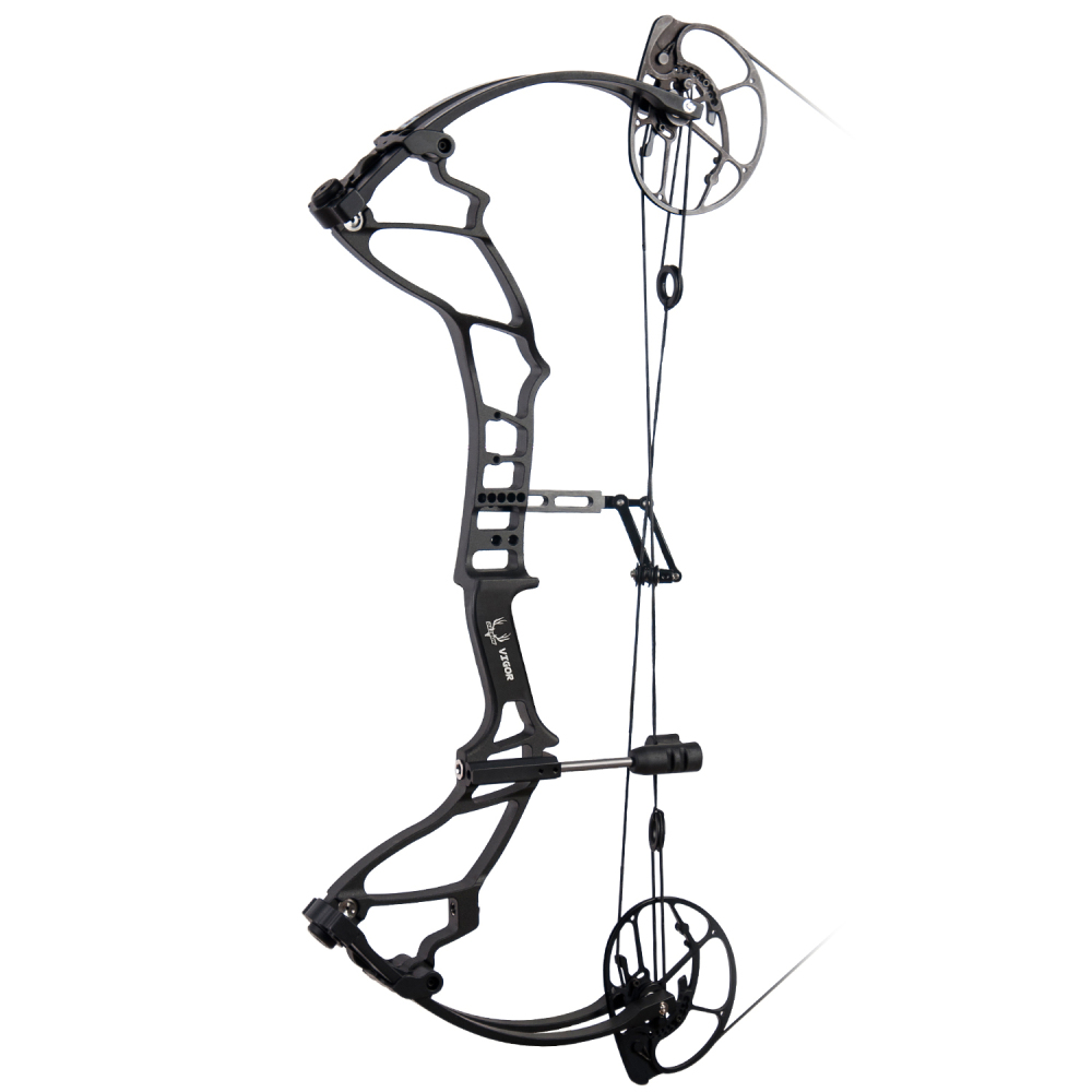 DAIBOW VIGOR