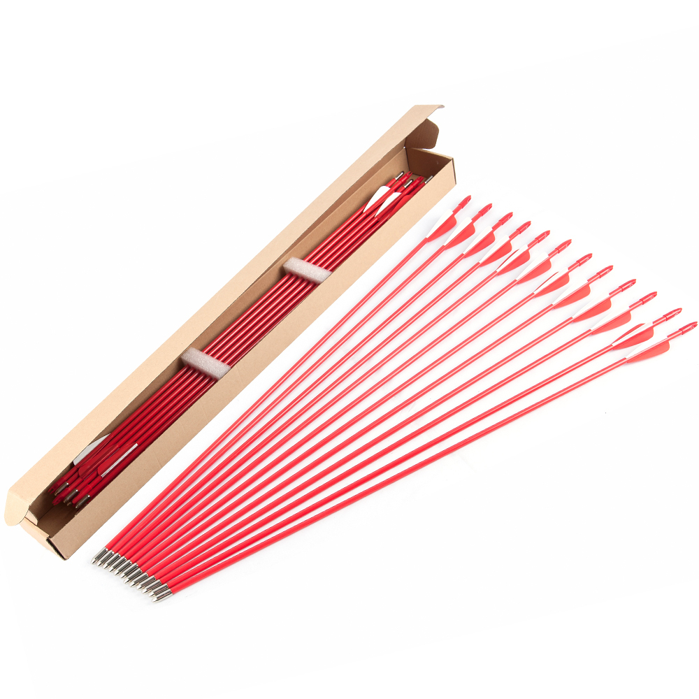TOPOINT  Fiberglass Practice Arrows Archery 28 Inch