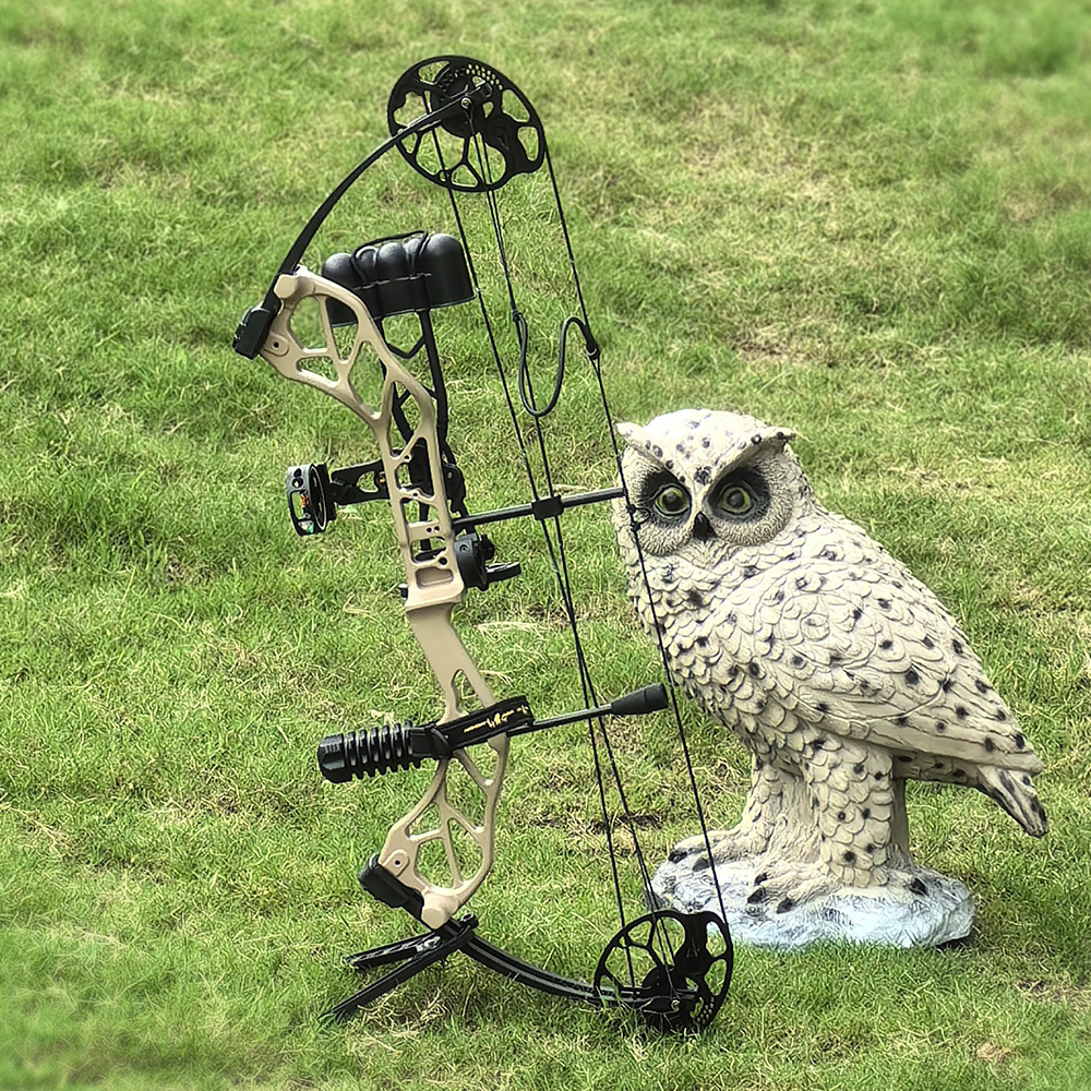 TOPOINT ARCHERY Starting 31 Hunting Compound Bow Only for Beginner&Intermediate Archers Archery Equipment DW:19-70LB, DL19-30"