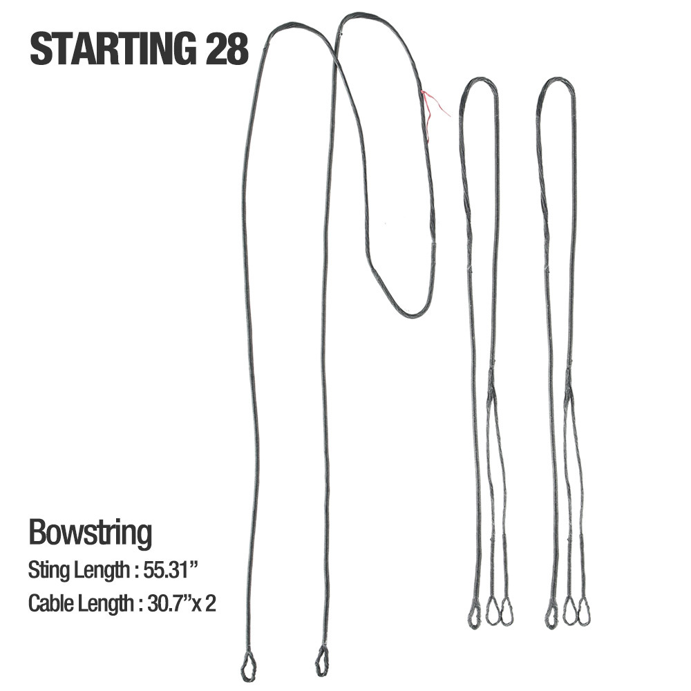 Starting 28 &31& 36/ M2 / M3